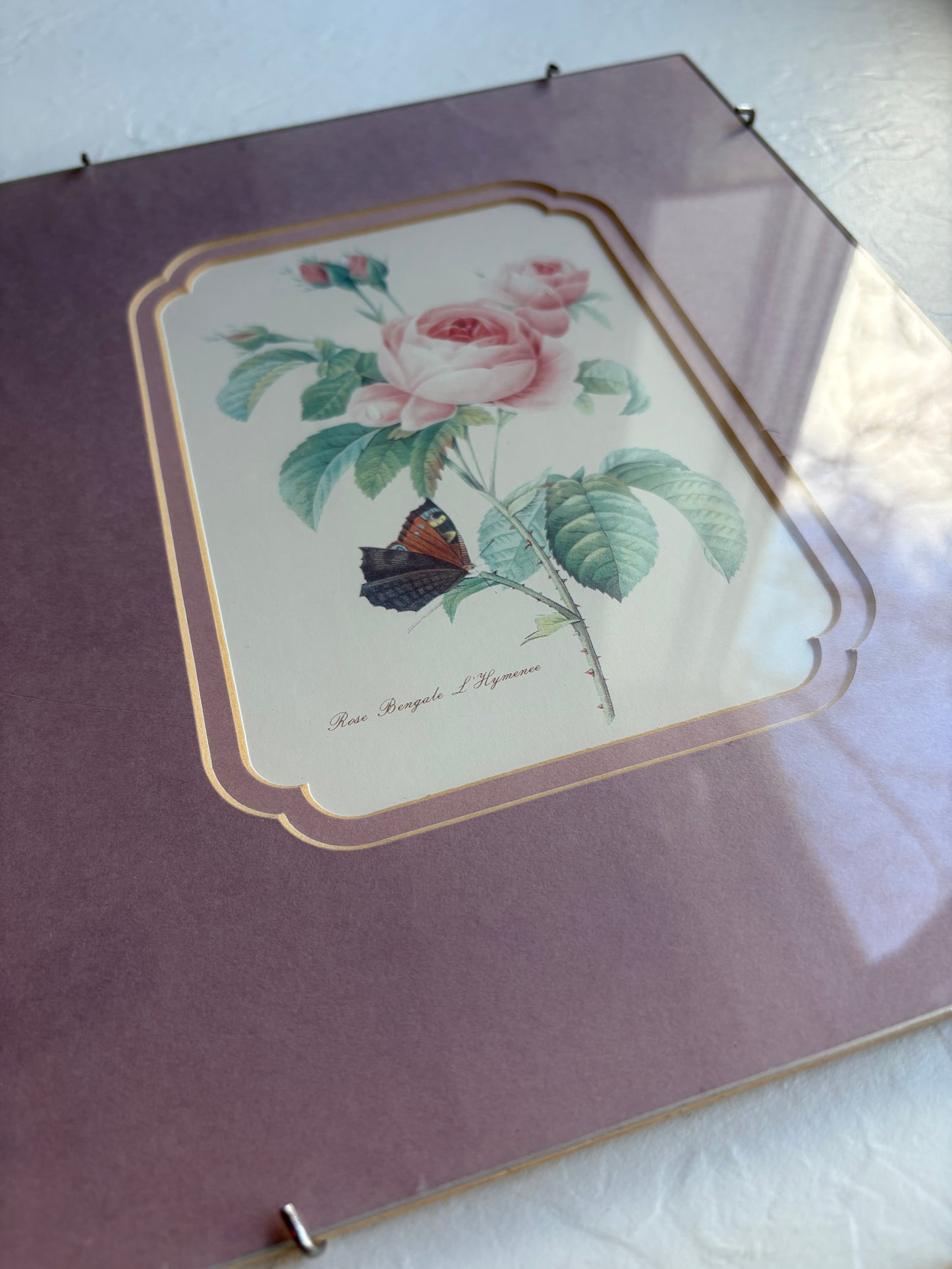 Rose Prints in Floating Frame