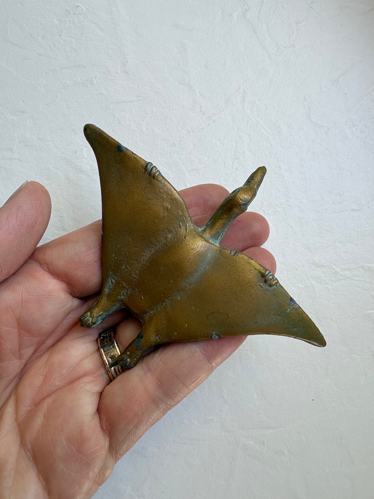 Bronze Cast Metal Pterodactyl