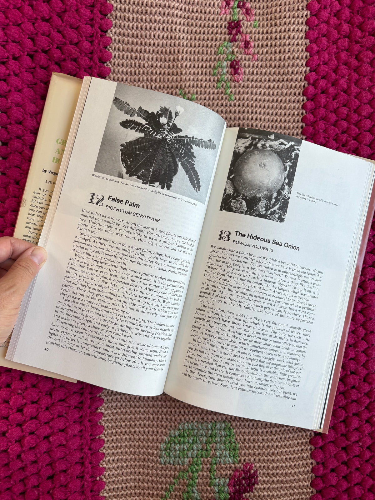 Fun with Growing Odd and Curious House Plants Vintage book