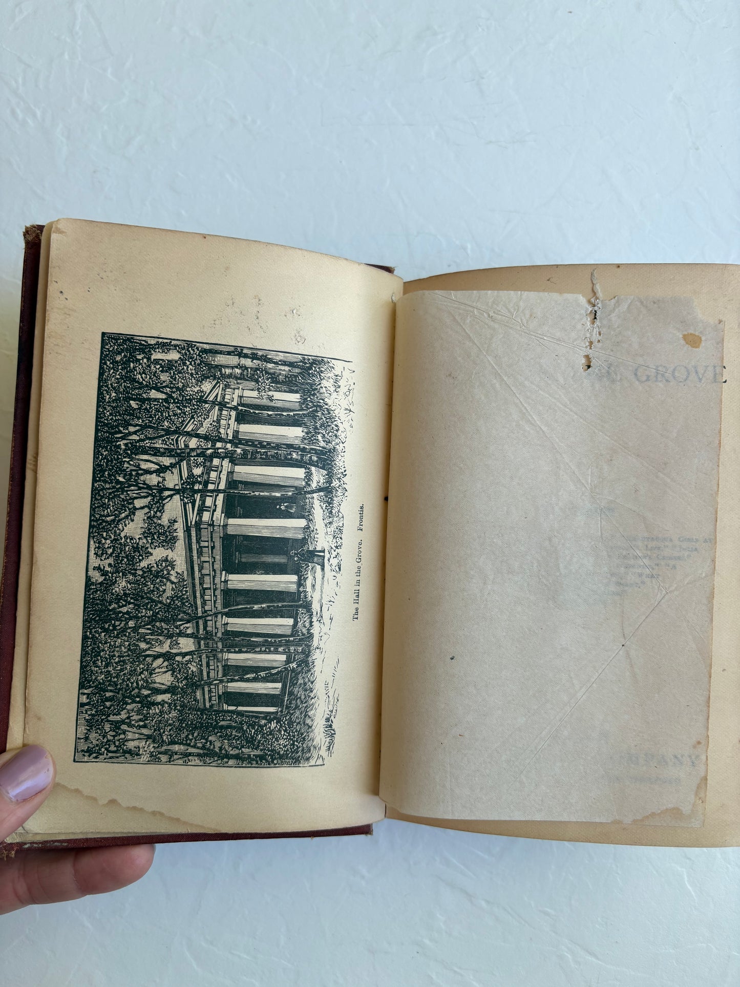 The Hall in the Grove Vintage Book by Pansy
