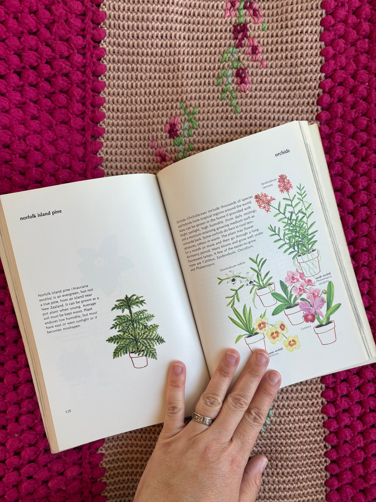 The New York Times Book of House Plants
