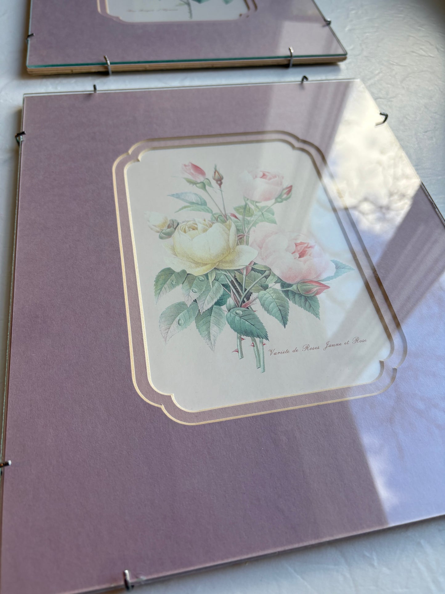 Rose Prints in Floating Frame