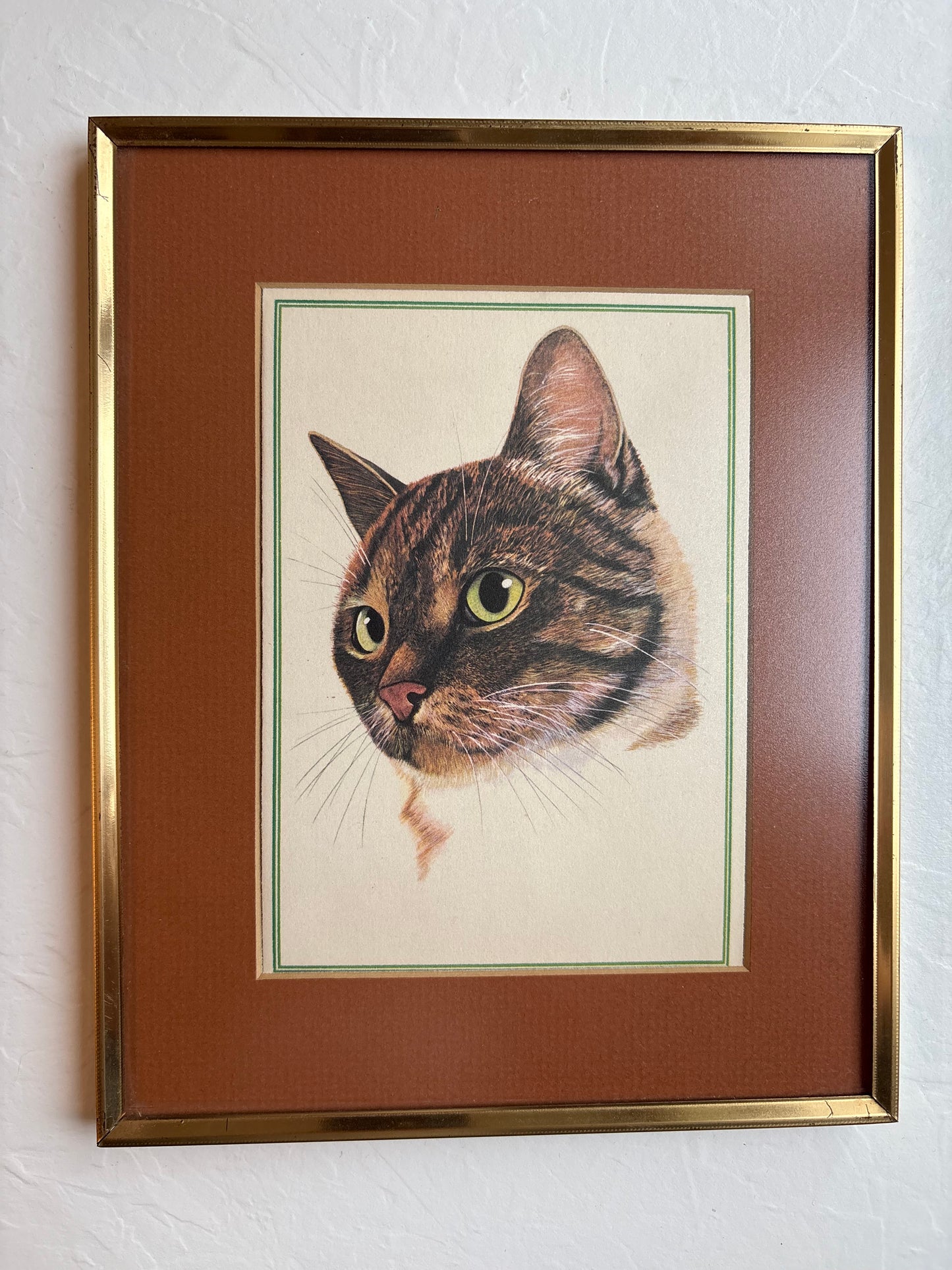 Framed Cat Print
