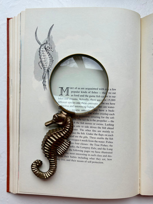 Brass Seahorse Magnifying Glass