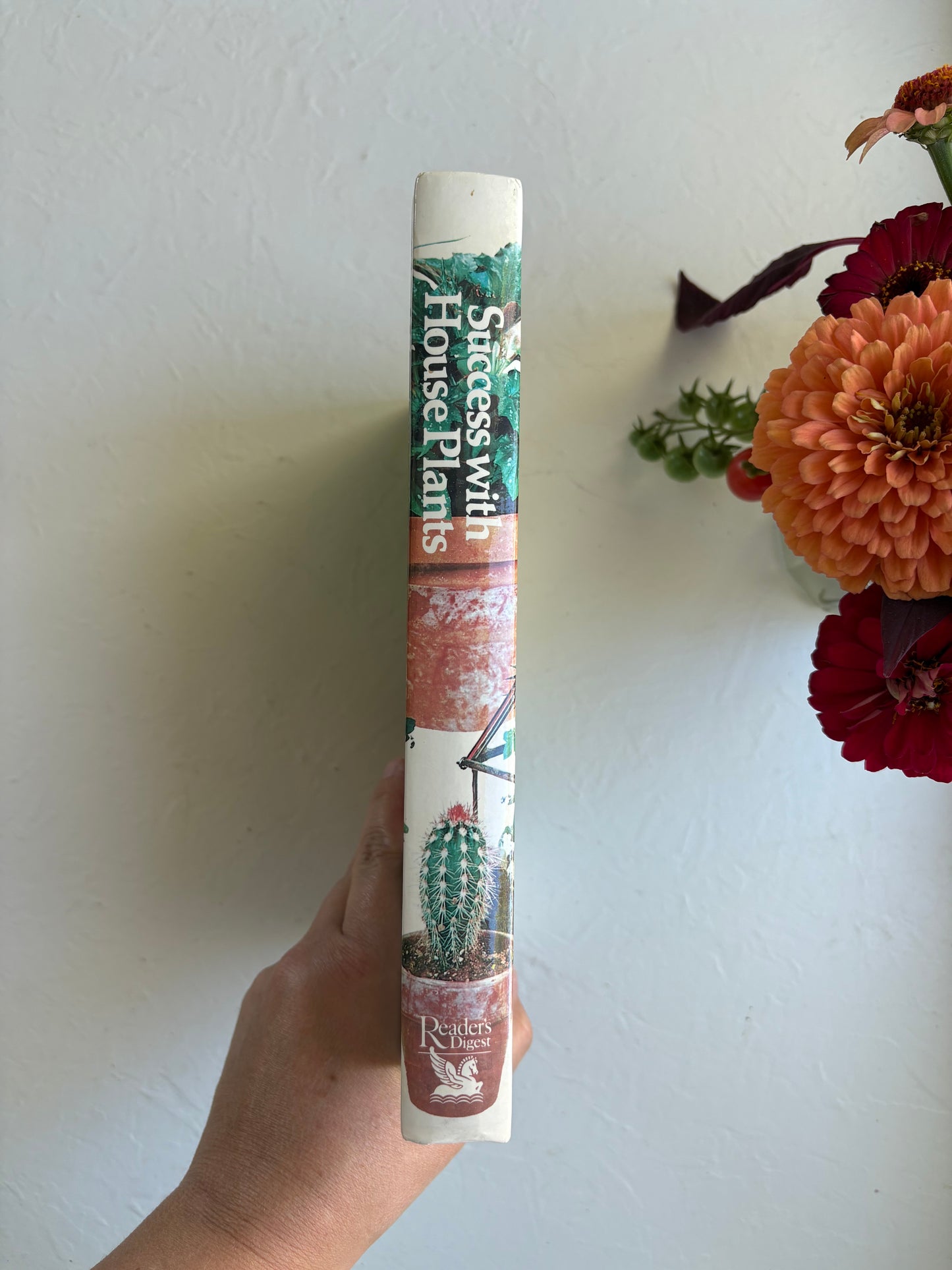 Success with Houseplants vintage book