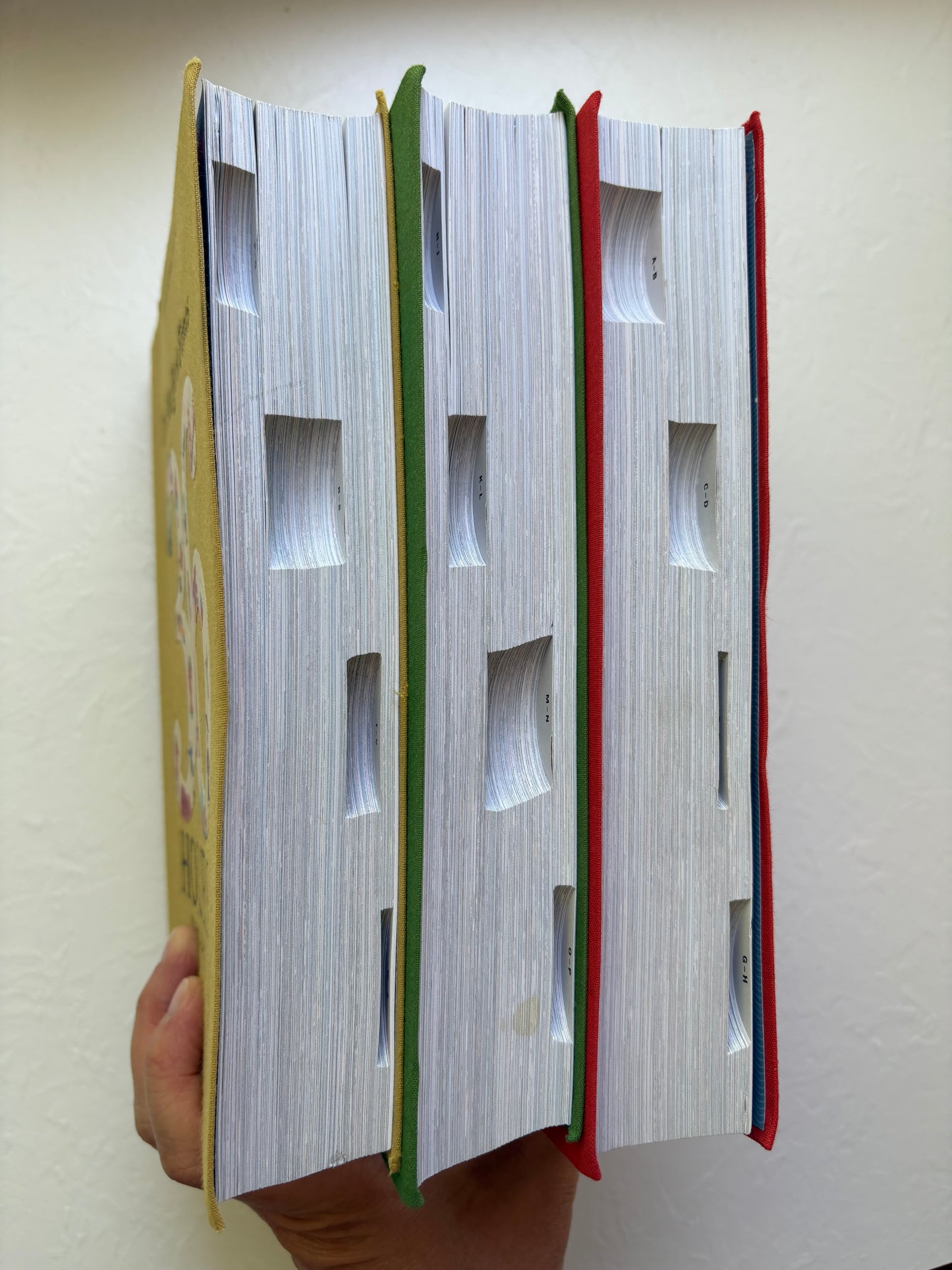 The New York Times: 36 Hours World Book Set
