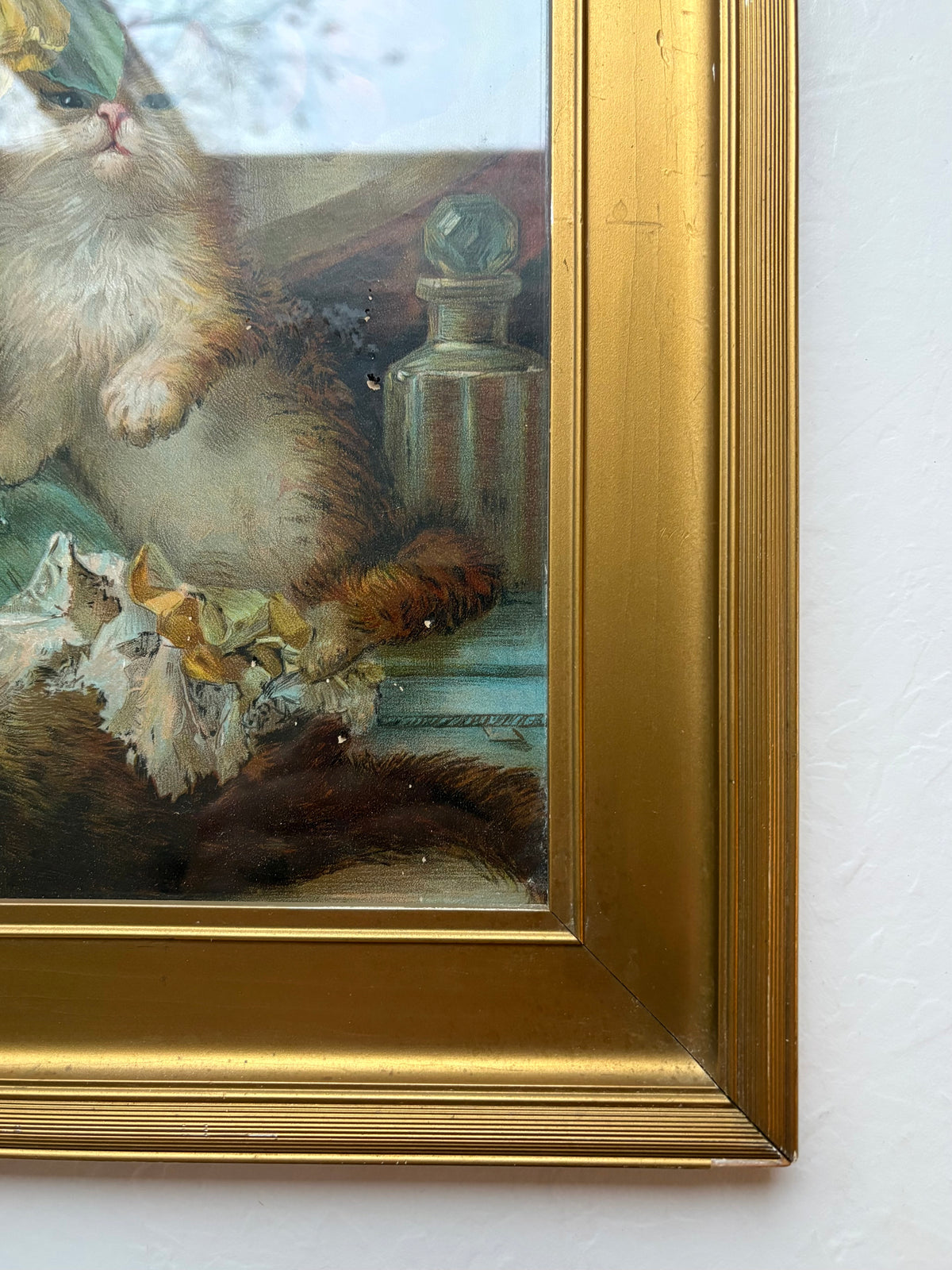 “The Five Senses" Kitten Chromolithograph Print by H.G. Plumb