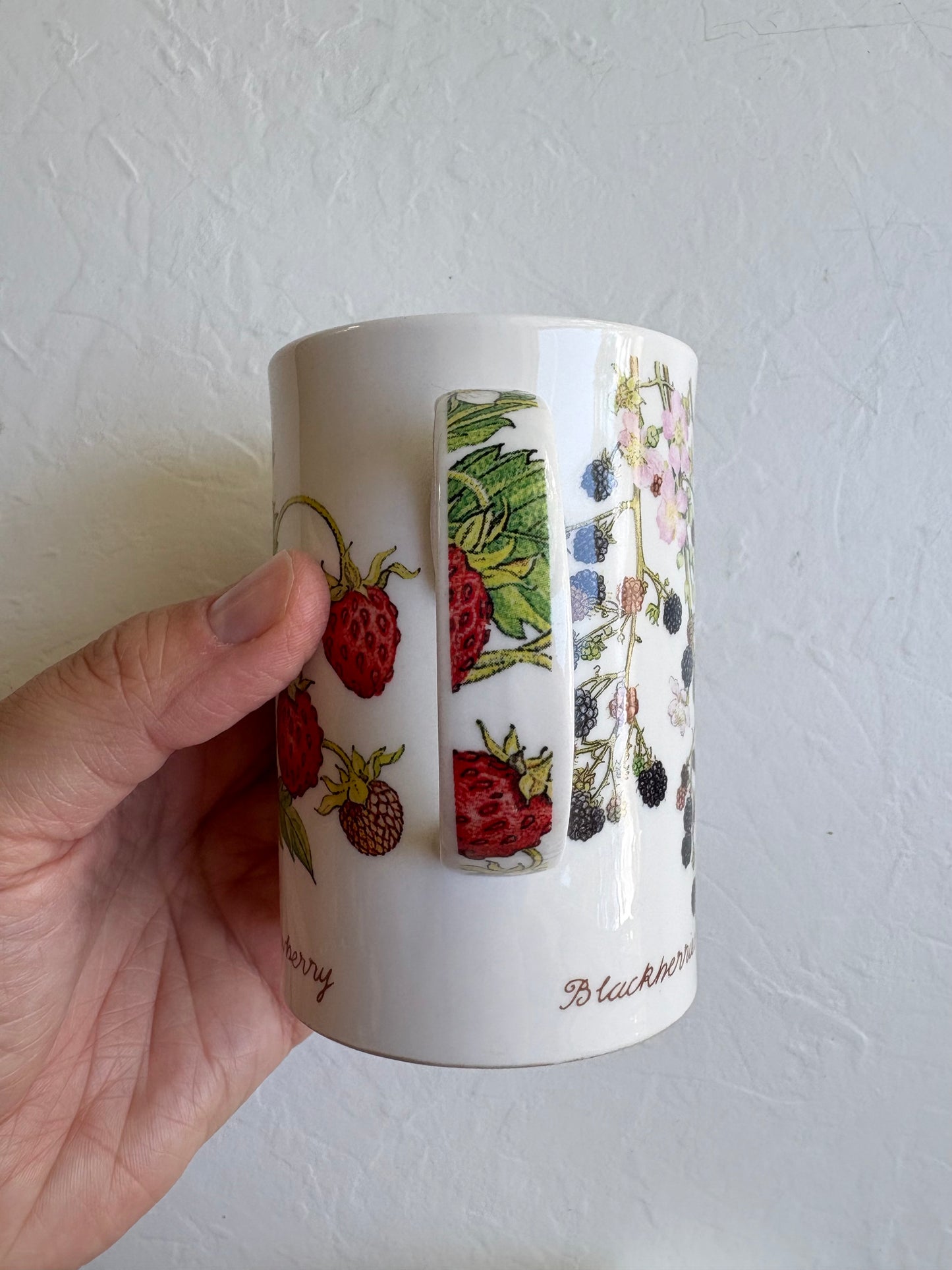 Nature’s Fruits Fine Bone China Mug Pair
