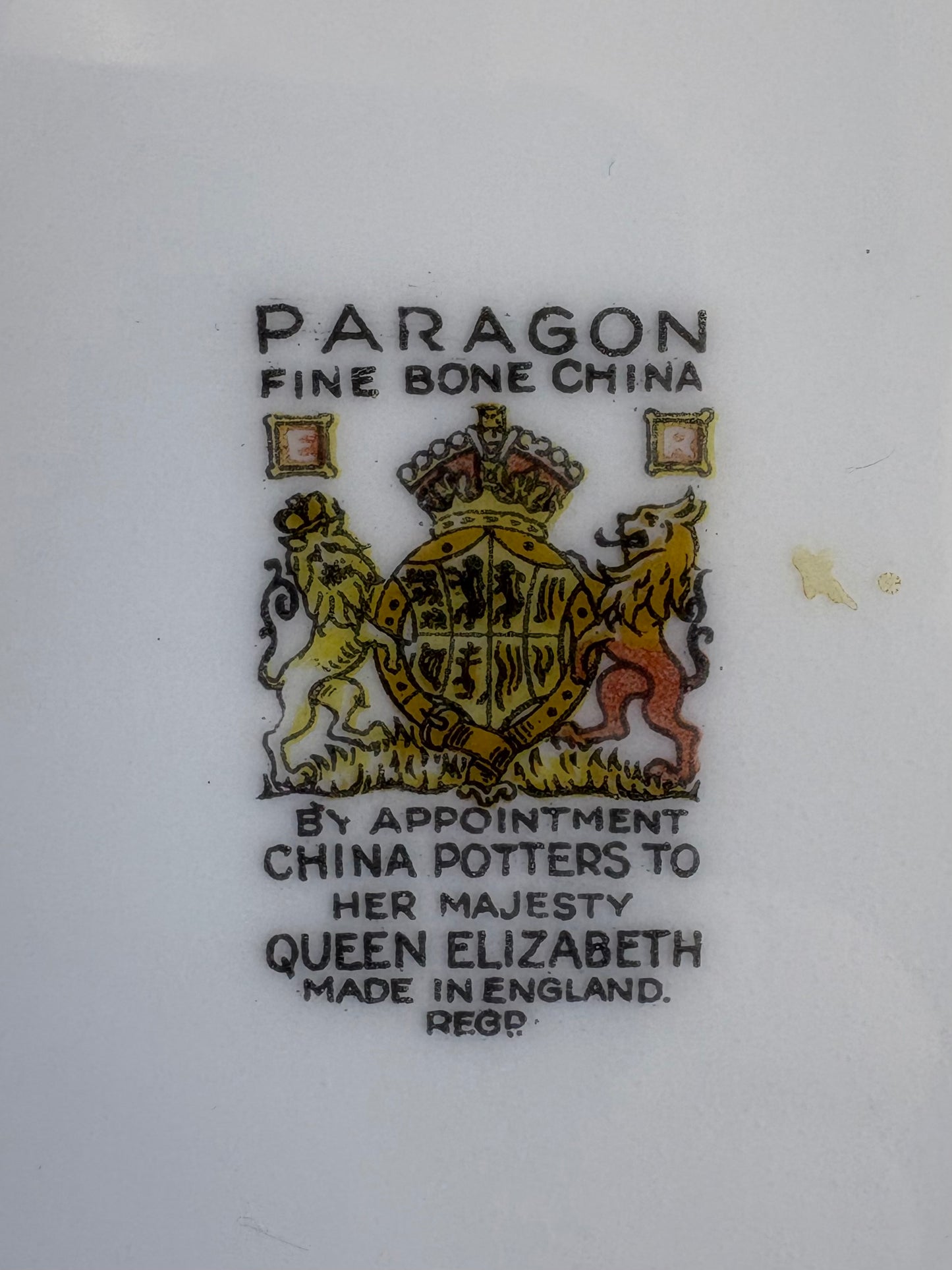 Vintage Paragon Park Lane dinner plate pair