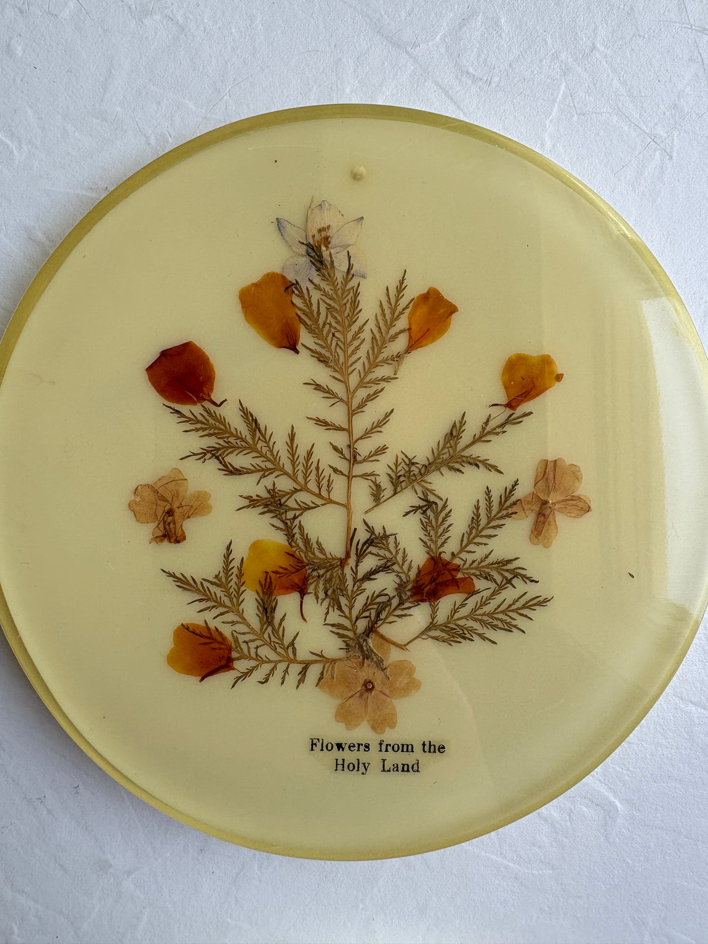 Dried Floral Trivets/ Wall Hangings