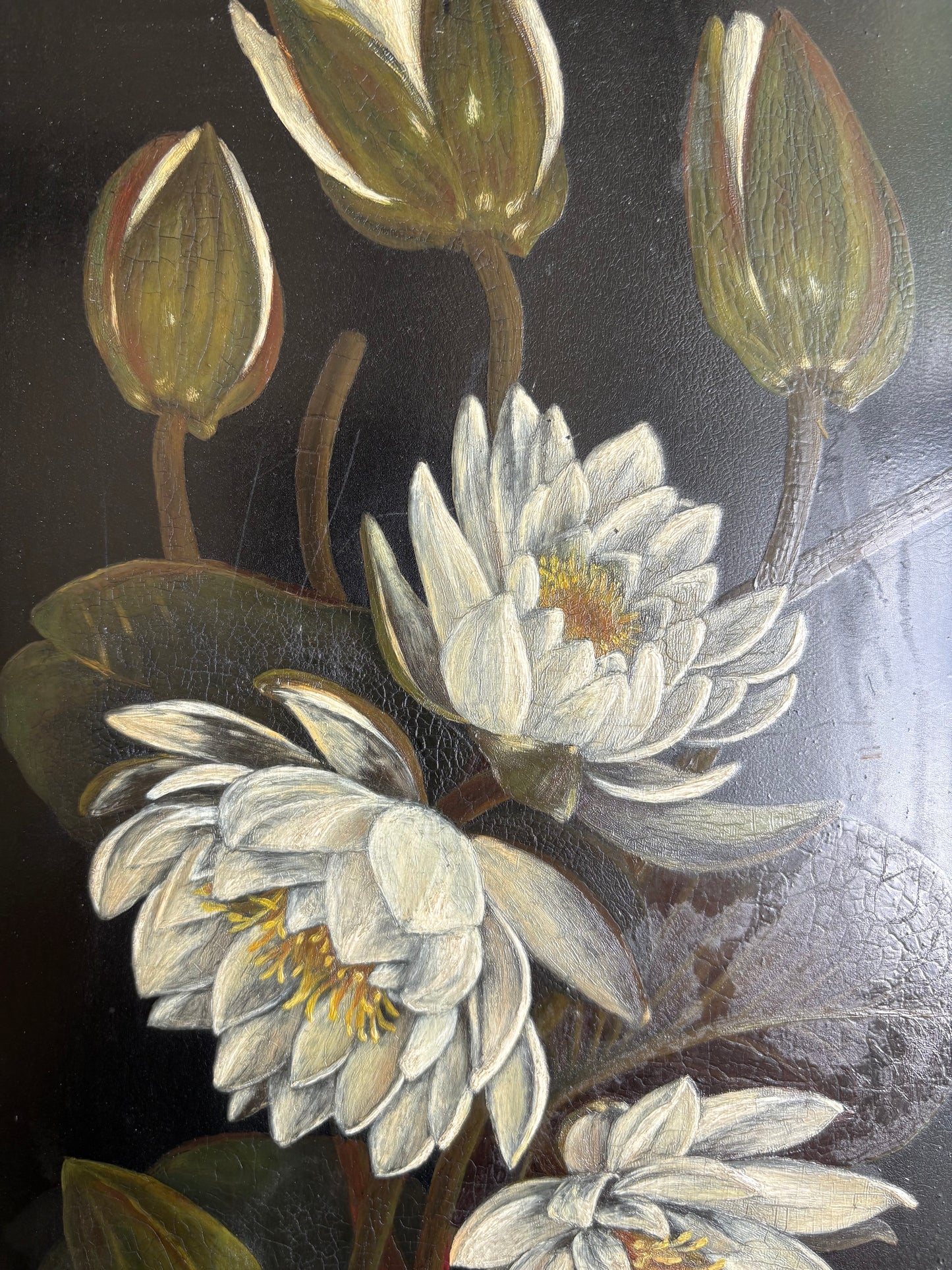 Antique Water Lilies Painting