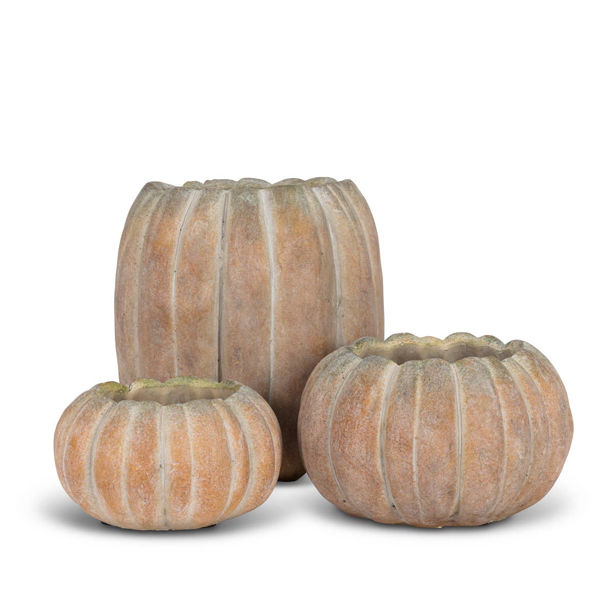 Cement Pumpkin Planter: Small Low