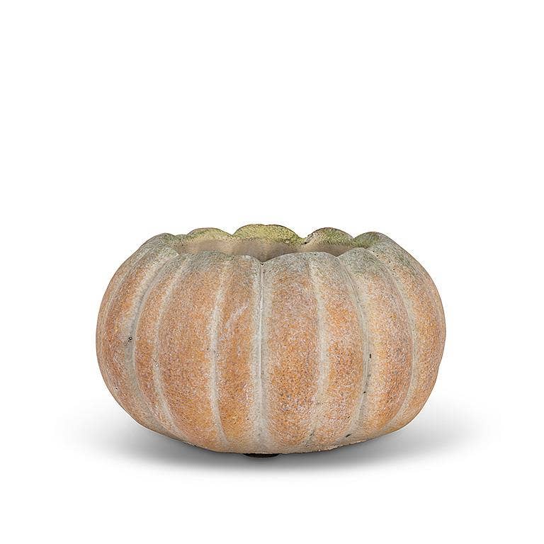 Cement Pumpkin Planter: Small Low